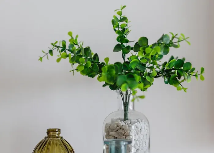 Infiniti Playamar Torremolinos