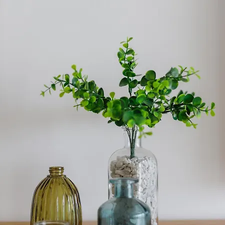 Infiniti Playamar トレモリノス